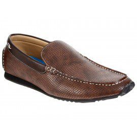 Zapato Steve Madden Driver Burke café