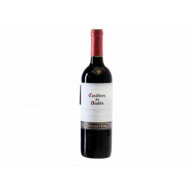 Vino Tinto Casillero del Diablo Cabernet...