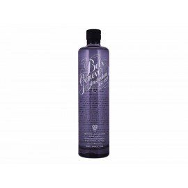 Ginebra Bols Amsterdam 750 ml